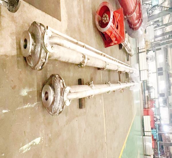 立式液下排污泵廠(chǎng)家湖南立佳機(jī)械YW系列立式液下排污泵